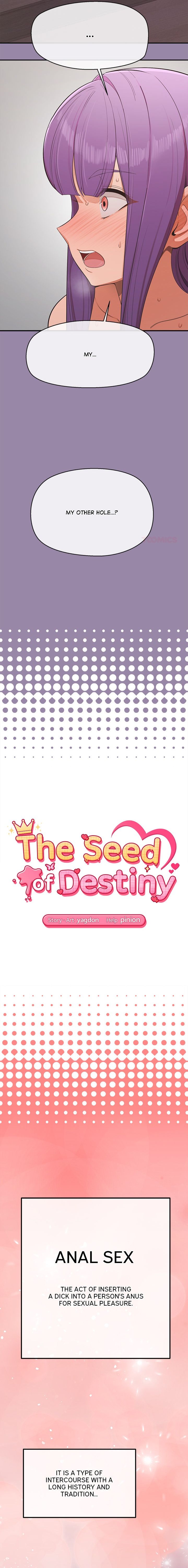 The Seed of Destiny Chapter 24 - Page 2